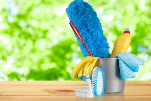 Professional steam carpet cleaning in an Abbey Wood home