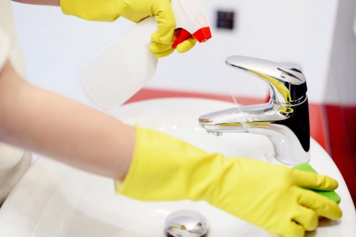 Professional pet stain odour removal in Abbey Wood on a carpet