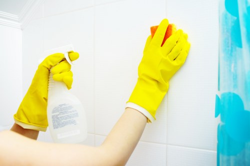 Deep carpet cleaning for pet stain odour removal in Abbey Wood