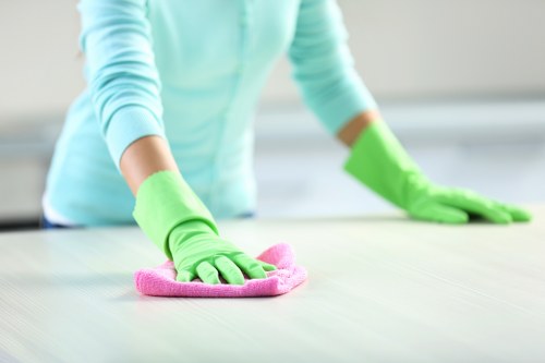 Deep rug cleaning process in Abbey Wood with fibre-safe methods