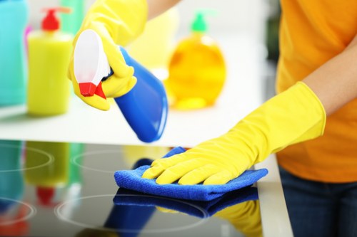 Common household stains treated in Abbey Wood properties