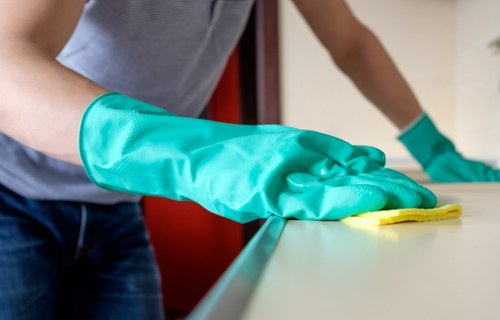 Deep cleaning a high-traffic office carpet