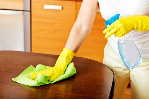 Professional cleaner inspecting carpet area before treatment begins