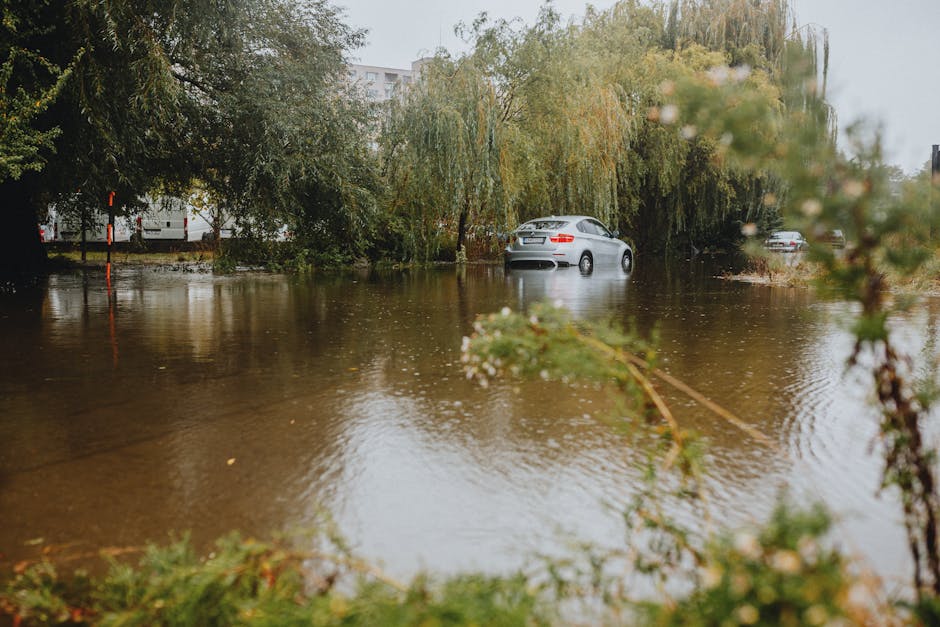 A two-storey residential house partially submerged in floodwater outside, with the water reaching up to the steps leading to the front door. The house has a tiled gable roof with a skylight and a smal